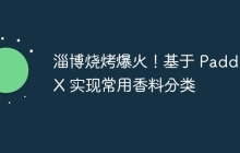 淄博烧烤爆火！基于 PaddleX 实现常用香料分类