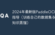 2024年最新版PaddleOCR新手指导（训练自己的数据集与知识蒸馏）