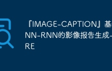『IMAGE-CAPTION』基于CNN-RNN的影像报告生成-PRE