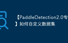 【PaddleDetection2.0专项】如何自定义数据集