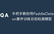 手把手教你用PaddleDetection套件训练目标检测模型