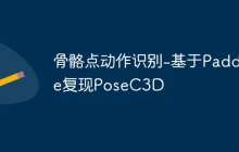 骨骼点动作识别-基于Paddle复现PoseC3D