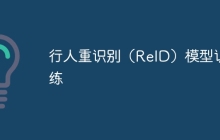 行人重识别（ReID）模型训练