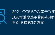 2021 CCF BDCI基于飞桨实现花样滑冰选手骨骼点动作识别-B榜第3名方案