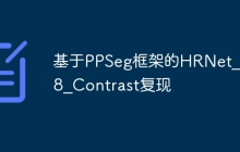 基于PPSeg框架的HRNet_W48_Contrast复现
