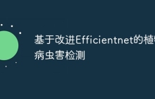 基于改进Efficientnet的植物病虫害检测