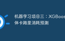 机器学习项目三：XGBoost人体卡路里消耗预测