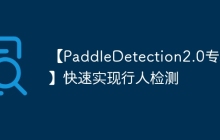 【PaddleDetection2.0专项】快速实现行人检测