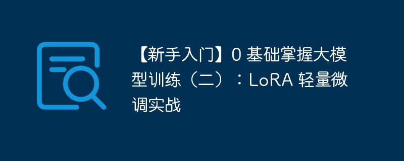 【新手入门】0 基础掌握大模型训练（二）：LoRA 轻量微调实战