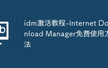 idm激活教程-Internet Download Manager免费使用方法