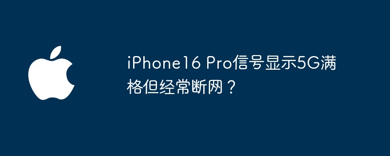 两个l是什么包 2个l是什么牌子