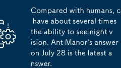 Par rapport aux humains, les chats ont environ plusieurs fois la capacité de voir la vision nocturne. La réponse de Ant Manor le 28 juillet est la dernière réponse.