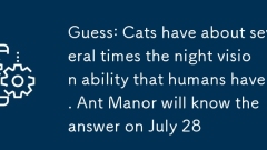 Devinez: Les chats ont environ plusieurs fois la capacité de vision nocturne que les humains ont. Ant Manor connaîtra la réponse le 28 juillet