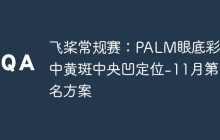 飞桨常规赛：PALM眼底彩照中黄斑中央凹定位-11月第1名方案