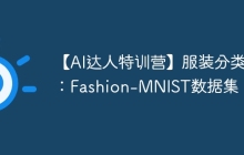 【AI达人特训营】服装分类：Fashion-MNIST数据集