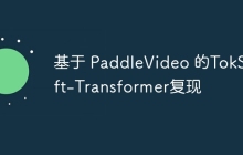 基于 PaddleVideo 的TokShift-Transformer复现