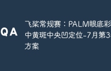 飞桨常规赛：PALM眼底彩照中黄斑中央凹定位-7月第3名方案