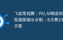 飞桨常规赛：PALM眼底彩照视盘探测与分割 - 8月第2名方案