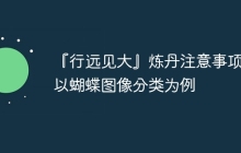 『行远见大』炼丹注意事项——以蝴蝶图像分类为例