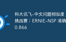 科大讯飞-中文问题相似度挑战赛：ERNIE-NSP 准确率0.866