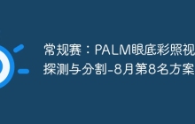 常规赛：PALM眼底彩照视盘探测与分割-8月第8名方案