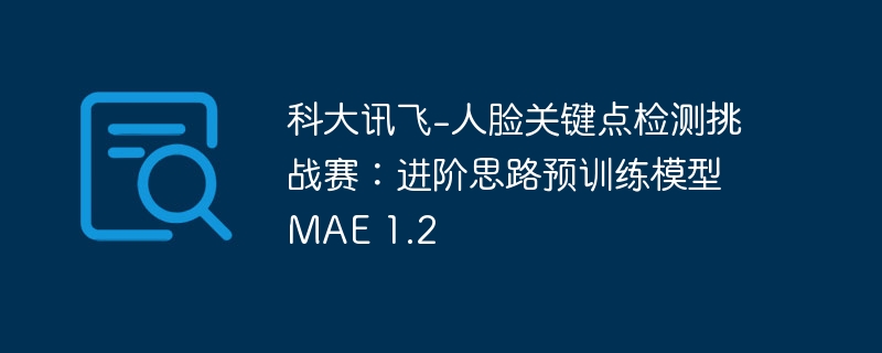 科大讯飞-人脸关键点检测挑战赛：进阶思路预训练模型 MAE 1.2