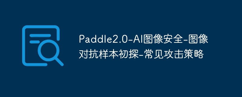 paddle2.0-ai图像安全-图像对抗样本初探-常见攻击策略 - php中文网