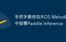 手把手教你在ROS Melodic中部署Paddle Inference