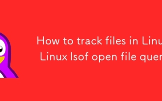 Cara Mengesan Fail di Linux Linux LSOF Open File Query