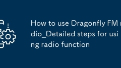 Cara Menggunakan Langkah -langkah Radio_Detail Dragonfly untuk Menggunakan Fungsi Radio