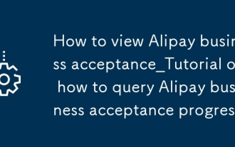 So sehen Sie Alipay Business Acceptance_Tutorial zum Abfragen von Alipay Business Acceptance -Fortschritt