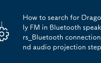 So suchen Sie nach Dragonfly FM in Bluetooth -Lautsprechern_Bluetooth -Verbindungs- und Audioprojektionsschritten