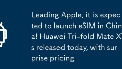Menant Apple, il devrait lancer ESIM en Chine! Huawei Tri-Fold Mate Xts libéré aujourd'hui, avec des prix surprise