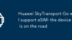 Huawei SkyTransport Go soutiendra ESIM: l'appareil est sur la route