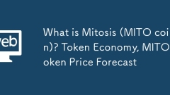 Qu'est-ce que la mitose (Mito Coin)? économie de jetons, prévisions de prix de jetons mito