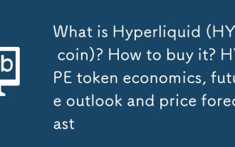 Was ist Hyperliquid (Hype -Münze)? Wie kaufe ich es? Hype -Token -Ökonomie, zukünftige Aussichten und Preisprognose