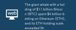 Der Riesenwal mit einer Haltung von 11 Milliarden US -Dollar Bitcoin (BTC) gab 4 Milliarden US -Dollar auf Ethereum (ETH) aus, und seine ETH -Holding -Skala übertraf die SH