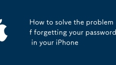 How to solve the problem of forgetting your password in your iPhone