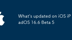 What's updated on iOS iPadOS 16.6 Beta 5