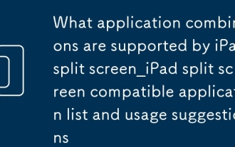 iPad Split Screen_Ipad Split Screen互換アプリケーションリストと使用法の提案によってサポートされるアプリケーションの組み合わせ