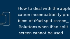 Cara Menangani Masalah Ketidakserasian Aplikasi Skrin Split IPad Split When Skrin Split iPad Tidak Dapat Digunakan