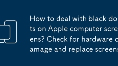 Bagaimana untuk menangani titik hitam pada skrin komputer Apple? Periksa kerosakan perkakasan dan ganti skrin