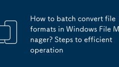 Bagaimana cara mengikat format fail dalam Pengurus Fail Windows? Langkah -langkah ke operasi yang cekap