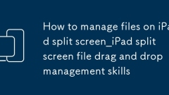 Cara Mengurus Fail Pada iPad Split Screen_ipad Split Screen Fail Drag dan Drop Management Manager