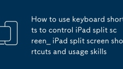 Cara Menggunakan Pintasan Papan Kekunci Untuk Mengawal IPad Split Screen_ iPad Split Screen Shortcuts dan Penggunaan Kemahiran