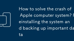 Bagaimana untuk menyelesaikan kemalangan sistem komputer Apple? Memasang semula sistem dan menyokong data penting