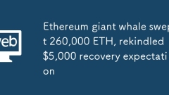Ethereum giant whale swept 260,000 ETH, rekindled $5,000 recovery expectation