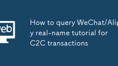 C2C ??????? Wechat/Alipay Real-Name ????? ???? ??