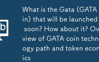 まもなく発売されるガタ(gataコイン)は何ですか?それはどうですか? Gata Coin Technology PathとToken Economicsの概要