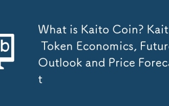 Kaito Coinとは何ですか? Kaito Token Economics、将来の見通し、価格予測